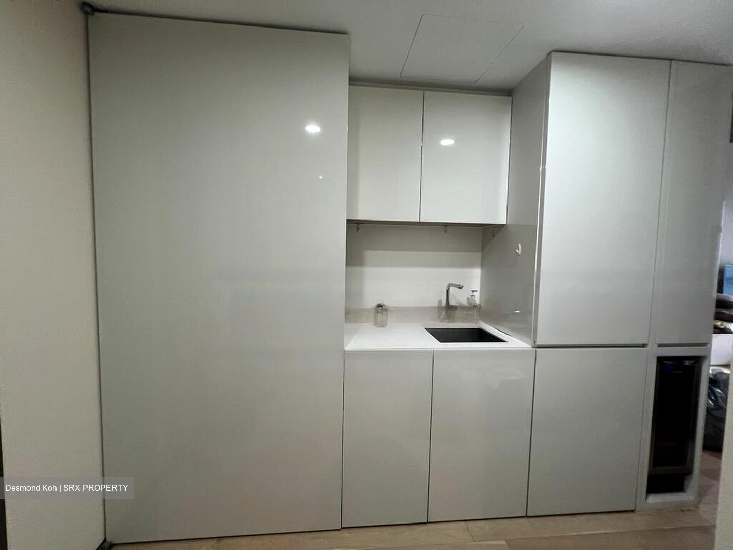 Skysuites@Anson (D2), Apartment #539874551